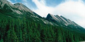 Icefields Parkway. Route (£ Canada
